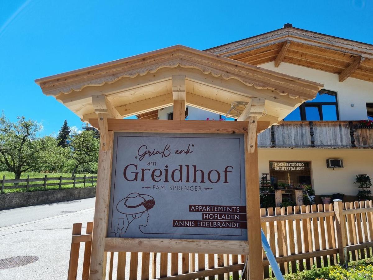 Greidlhof Alpstyle Apartments Fügen Екстериор снимка